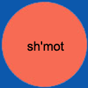 Circleshmot
