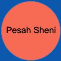 CirclePesahSheni