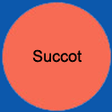 CircleSuccot
