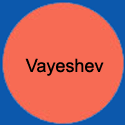 CircleVayeshev