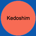 CircleKedoshim