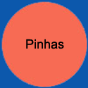 CirclePinhas